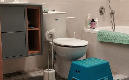 Tel Aviv-Jaffa apartment, 5 rooms
