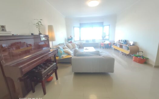 Tel Aviv-Jaffa apartment, 5 rooms