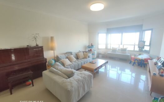 Tel Aviv-Jaffa apartment, 5 rooms