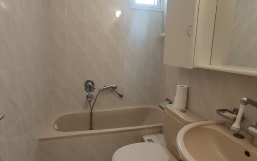 Tel Aviv - apartment, 4 rooms